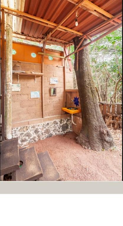 Casa Ecologica Apartment Tepoztlan Exterior photo